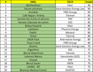 20 Selected SMEs with their corresponding ESCOs
